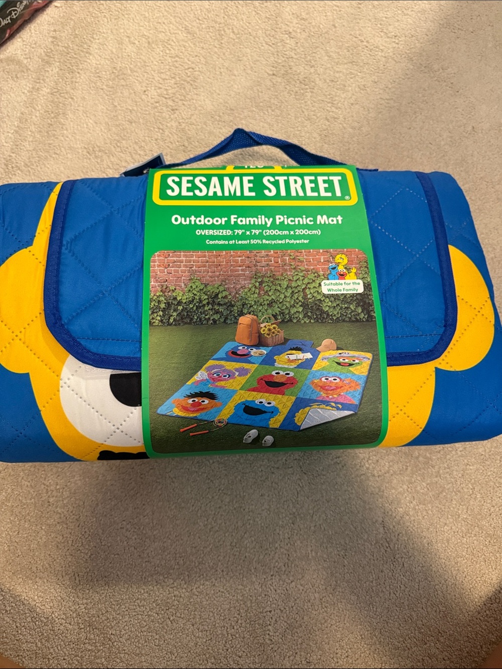 Sesame Street picnic mat